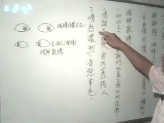 陈氏面相学应用第20课